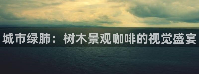 新宝GG上级