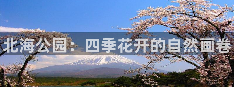新宝GG国际