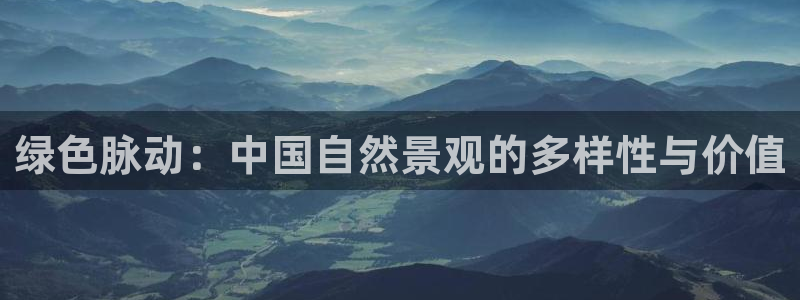 新宝gg主管48527