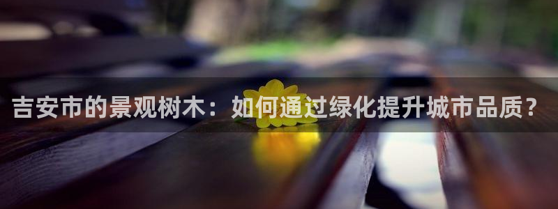 新宝gg工资