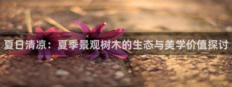 新宝gg娱乐客户端下载