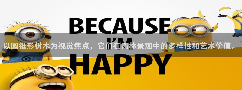 新宝gg手机