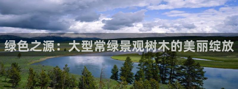 新宝gg招商致胜团队