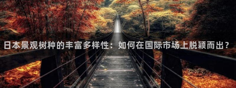正版新宝gg