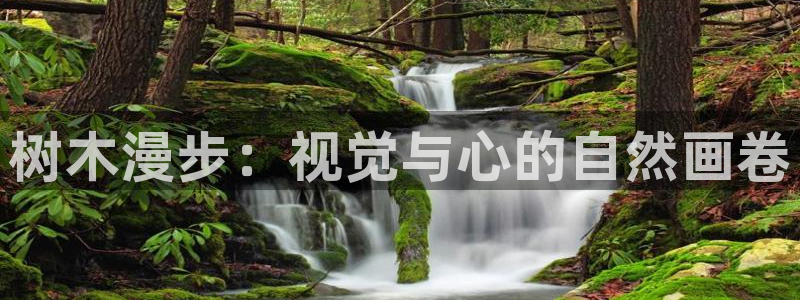 新宝gg开