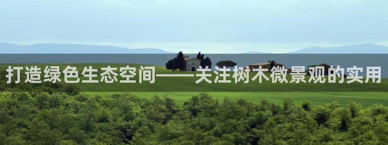 新宝GG跑路