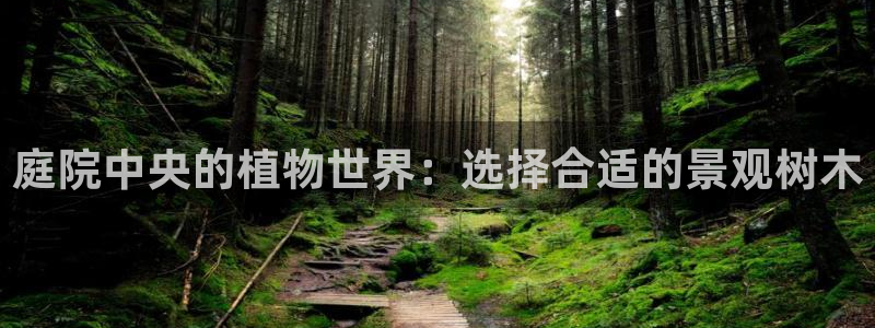 新宝gg dengludizhi：庭院中央的植物世界：选择合适的景观树木