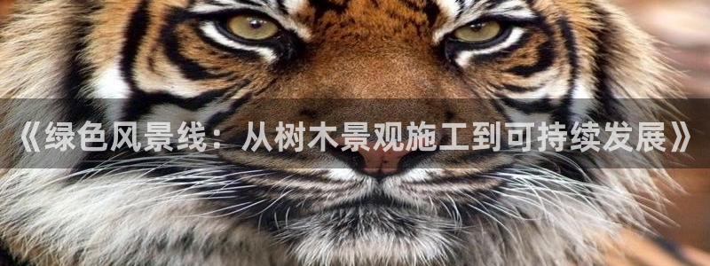 新宝gg正规