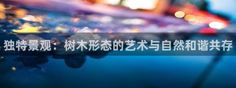 新宝gg娱乐vovq