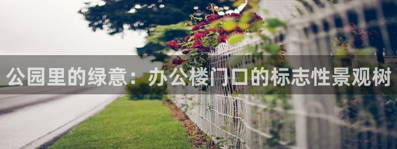 新宝gg创造奇迹登陆