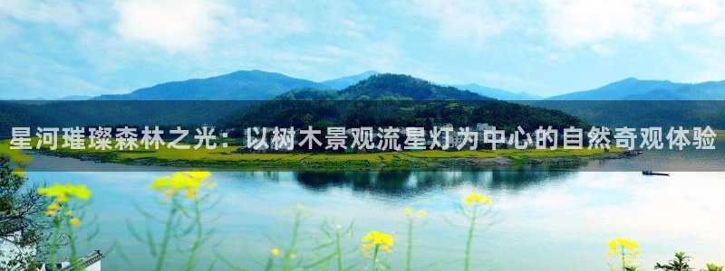 新宝gg开户流程：星河璀璨森林之光：以树木景观流星灯为中心的自然奇观体验