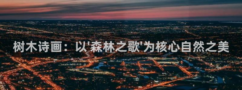 新宝gg创造