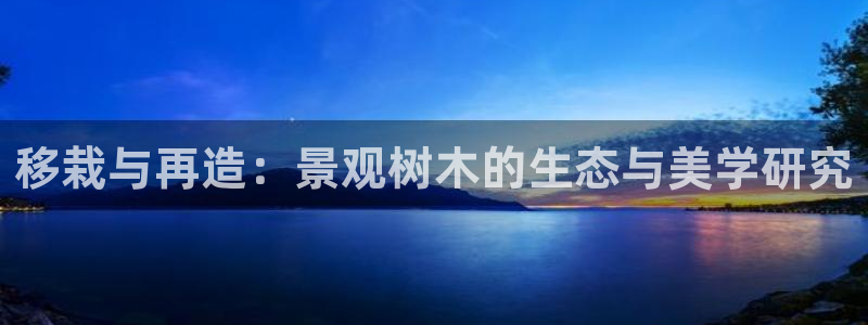 新宝gg平台开户