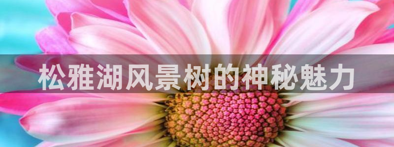 新宝gg8：松雅湖风景树的神秘魅力