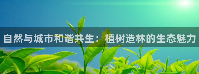 新宝gg龙虎规则
