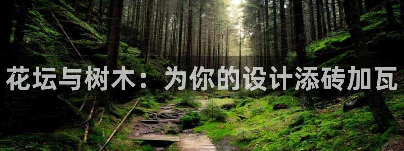 新宝gg违法