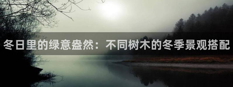 新宝gg主管花木兰：冬日里的绿意盎然：不同树木的冬季景观搭配