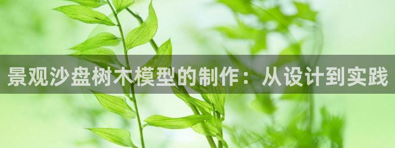 新宝gg什么