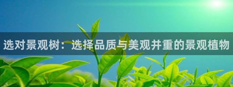 新宝gg用哪个浏览器