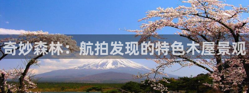 新宝gg待遇
