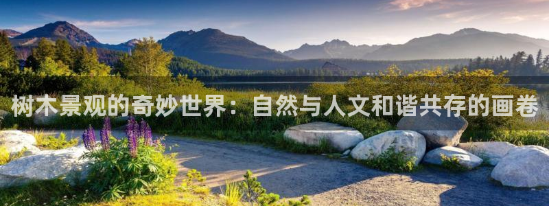 新宝gg指定平台