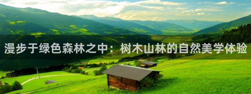 新宝GG冰冰：漫步于绿色森林之中：树木山林的自然美学体验