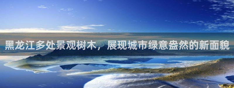 新宝gg平台q891465：黑龙江多处景观树木，展现城市绿意盎然的新面貌