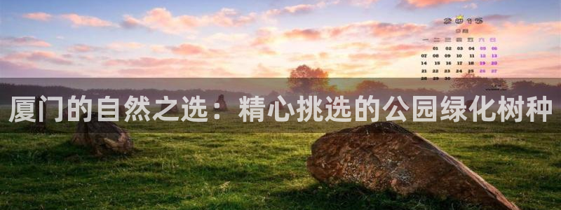 新宝gg主管baidu