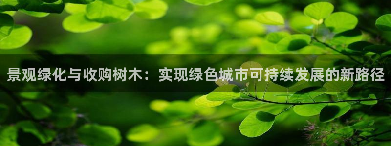 新宝GG上级