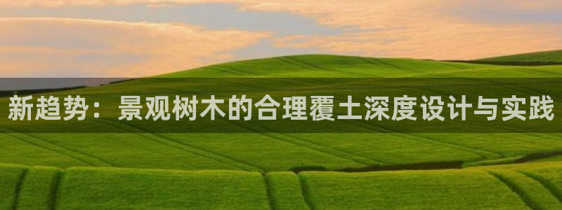 新宝gg辅助：新趋势：景观树木的合理覆土深度设计与实践