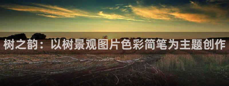 新宝gg客服电话